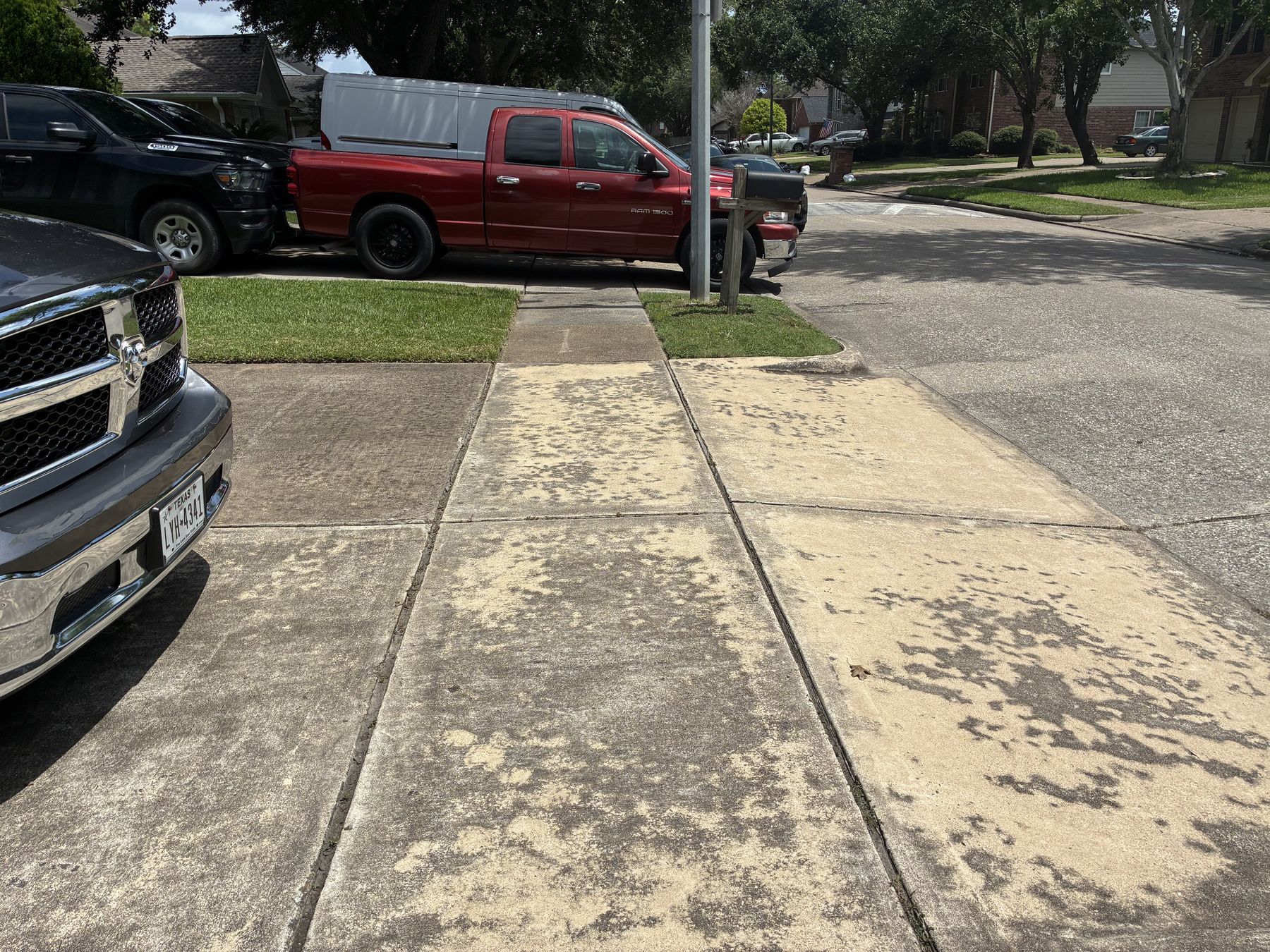 Driveway before pressure washing — mildew and grime buildup